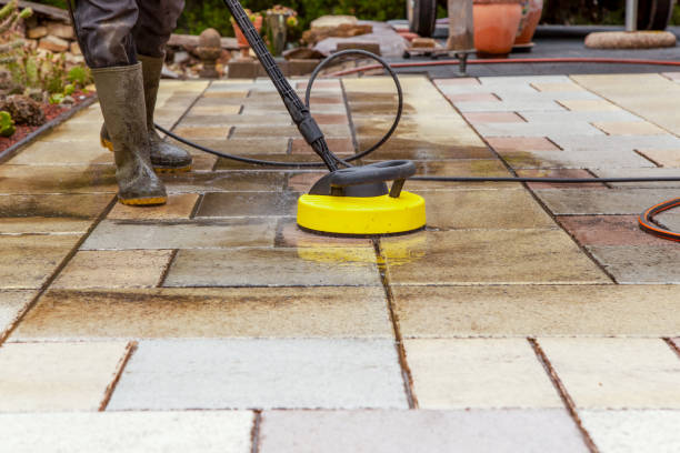 Animal Enclosure Cleaning in Tonawanda, NY